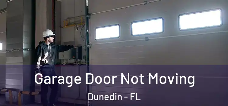  Garage Door Not Moving Dunedin - FL
