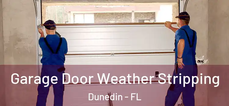  Garage Door Weather Stripping Dunedin - FL